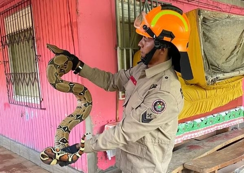 Dona de casa entra em pânico ao encontrar cobra em máquina de lavar