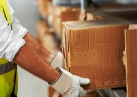 Sine Amazonas oferta mais de 200 vagas de emprego nesta terça 