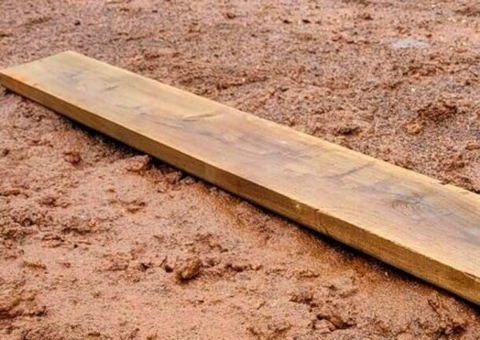 Três estudantes são apreendidos após espancarem colega a pauladas no Amazonas