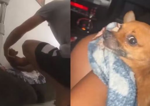 Cachorro apanha por mais de 3 horas e ação criminosa é gravada