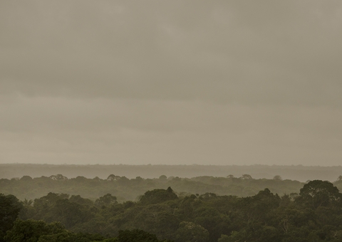 Cientistas alertam que a Amazônia pode piorar a situação climática