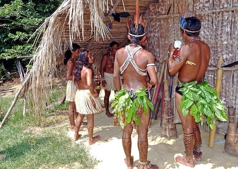 Indígenas se mobilizam contra notícias falsas sobre covid-19