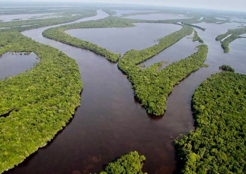 Congresso derruba vetos à lei da regularização de terras na Amazônia