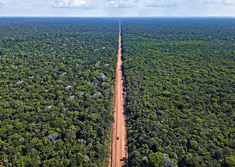 Licenciamento da BR-319 só deve ser discutidos após estudos do Ibama