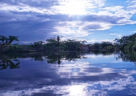 Homem que havia sumido em floresta é resgatado desorientado no Amazonas