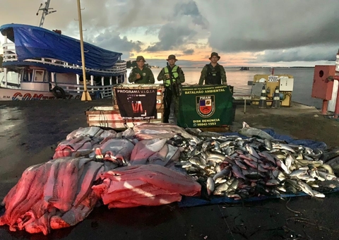 Duas toneladas de pescado ilegal são apreendidas no Amazonas