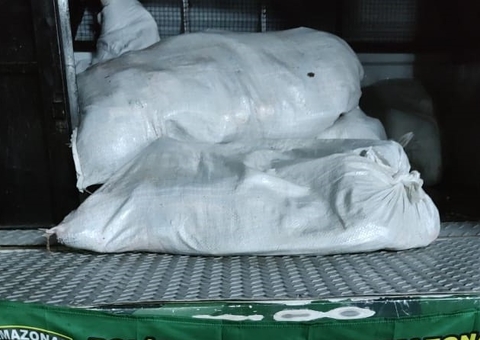 Pescado ilegal avaliado em R$ 15 mil é apreendido em Manaus