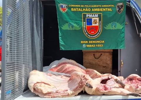 Mulher é presa com 99 quilos de carne de caça em feira de Manaus