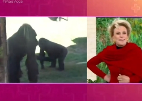 Ana Maria vira piada ao comentar tamanho de órgão sexual de gorila ao vivo