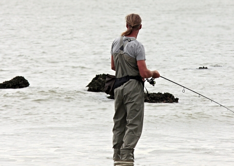 Foto de criatura assustadora das águas do Alasca viraliza na internet
