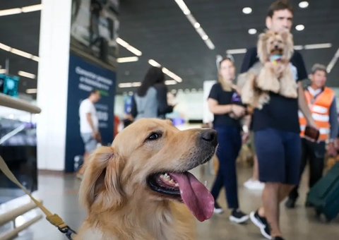 STF mantém suspensa lei sobre transporte aéreo de animais de apoio emocional