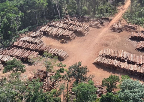 PF faz operação em Manaus para fiscalizar carregamentos de madeira