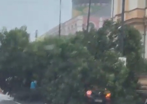 Árvore cai e atinge carro ao lado do Teatro Amazonas durante temporal; vídeo