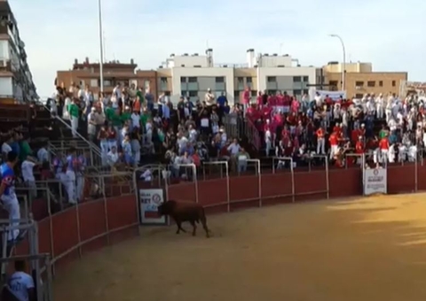 Funcionário morre após levar chifrada durante tourada na Espanha; Veja vídeo