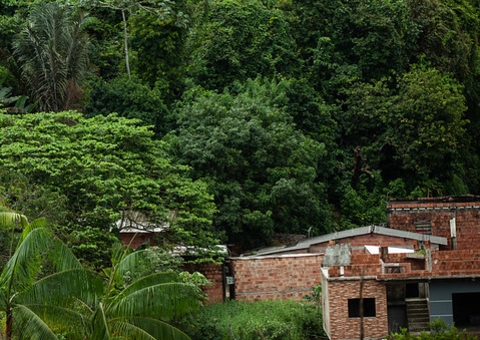Audiência sobre ocupação em área de preservação em Manaus é marcada