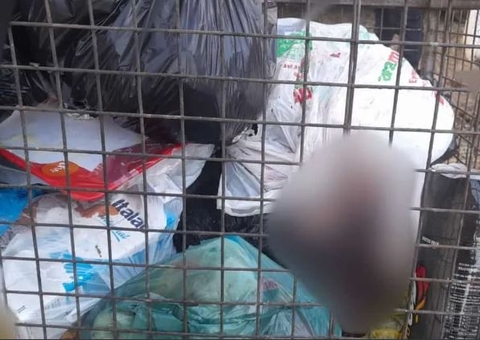 Recém-nascido é encontrado em lixeira após urubus tentarem devorá-lo