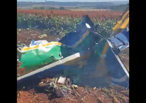 Avião da Esquadrilha da Fumaça cai em São Paulo após colisão no ar; vídeo