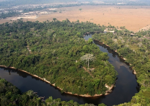 Amazonas supera o Pará em alertas de desmatamento no mês de junho