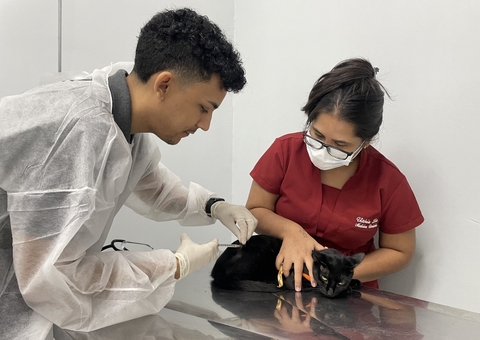 Hospital Veterinário lança campanha com serviços e exames acessíveis em Manaus