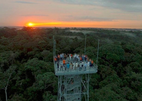 Musa lança promoção em comemoração de aniversário em Manaus