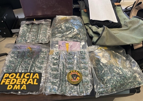 PF apreende esmeraldas e obras de arte de grupo envolvido em desmatamento no Amazonas