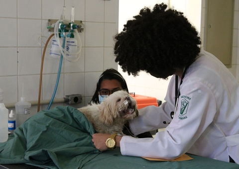 Nilton Lins e Ifam lançam 1º curso de Mestrado em Ciências Veterinárias do Amazonas