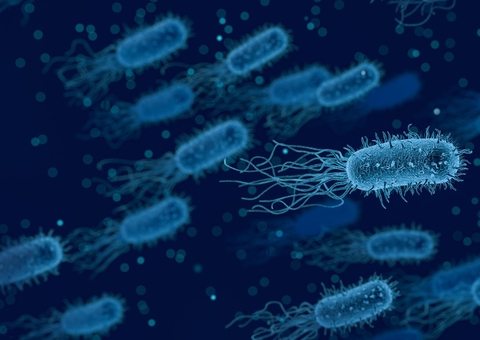 Bactérias podem ajudar a espalhar câncer pelo organismo, diz estudo