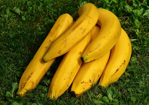 O que acontece com o corpo quando se come banana todo dia ?
