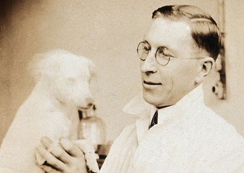 Experiência com cães marcou descoberta da insulina