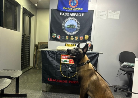 Mulher é presa enquanto transportava cocaína em barco no Amazonas 