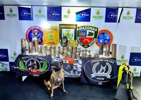 Cadela policial encontra drogas escondidas em cilindros de aço no Amazonas