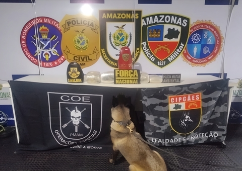 Cadela policial encontra drogas escondidas em saca da farinha no Amazonas