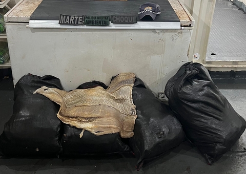 Mais de 200 kg de pirarucu transportado ilegalmente são apreendidos em Coari