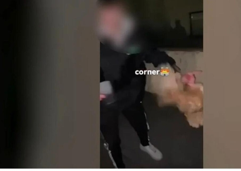 Adolescentes são procurados pela polícia após usarem galinha como bola de futebol