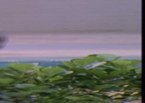 Jogo da discórdia: Eli é 'pego na mentira' ao revelar voto de Larissa em DG