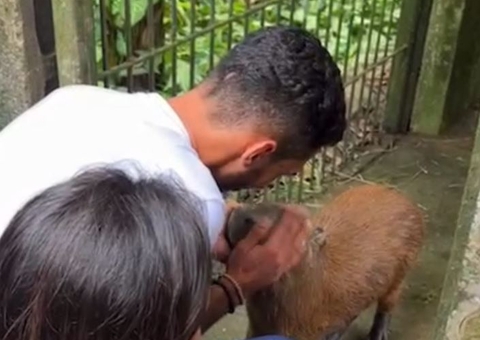 Veja momento do reencontro entre tiktoker e Filó após Ibama entregar capivara