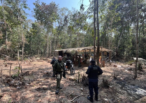 Mulher é presa por desmatamento ilegal na AM-010