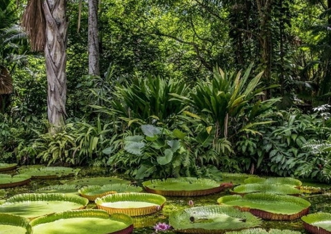 Projeto inicia pagamento de bolsas para 220 beneficiários na Amazônia