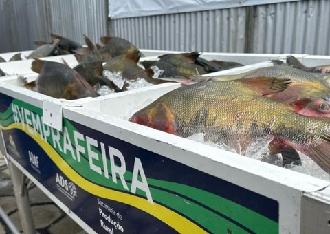 Feirão do Pescado com preços populares continua nesta quinta e sexta-feira em Manaus
