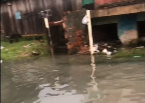 Ruas alagadas, desabamentos e acidentes; chuva causa estragos em Manaus