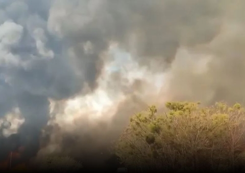 Incêndios florestais fazem governador de São Paulo decretar situação de emergência