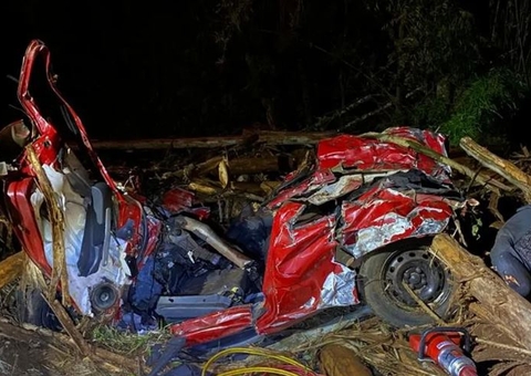 5 pessoas morrem esmagadas após madeiras caírem de carreta sobre carros em estrada