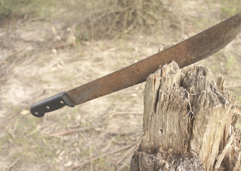 Irmãos são presos 20 anos após tentarem matar rival a terçadadas no Puraquequara