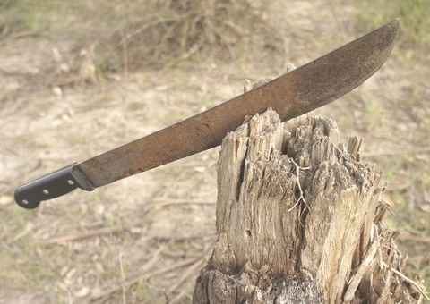 Homem leva terçadada na cabeça durante tentativa de linchamento no Terra Nova