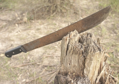 Homem tenta matar irmão a golpes de terçado por causa de terreno no Amazonas