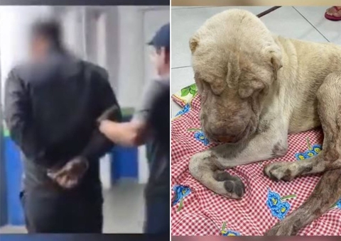 Motorista é preso por abandonar cachorro doente para morrer na Cidade Nova 
