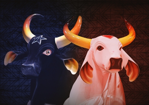 Garantido e Caprichoso cancelam festival de Parintins no Amazonas