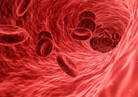 Hemofilia: Mitos e verdades sobre doença que dificulta a coagulação sanguínea