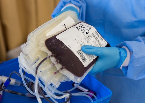 Transfusão de sangue para Testemunhas de Jeová é debatida no STF; religião não permite