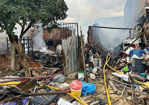 Incêndio em abrigo de cães deixa 12 animais mortos e proprietário ferido
